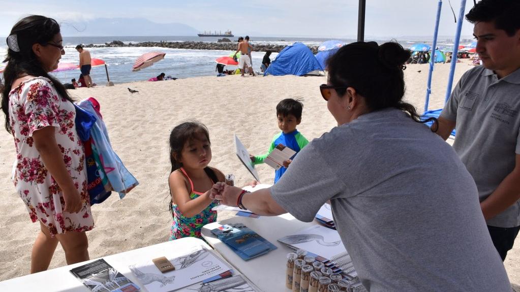 Niños se acercan a la lectura en la playa