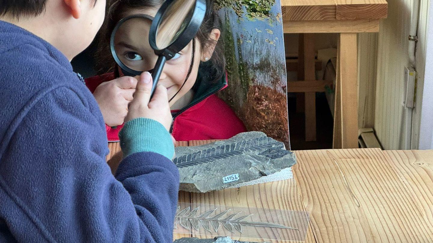 Zona Educativa de Museos