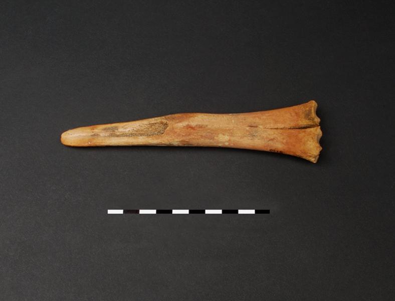 Desconchador sobre hueso