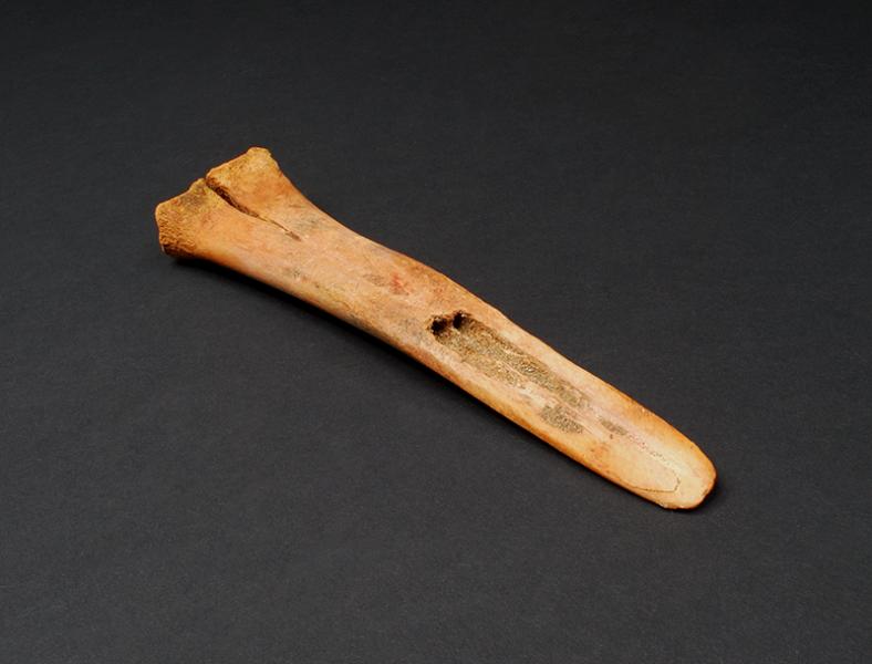 Desconchador sobre hueso (detalle)