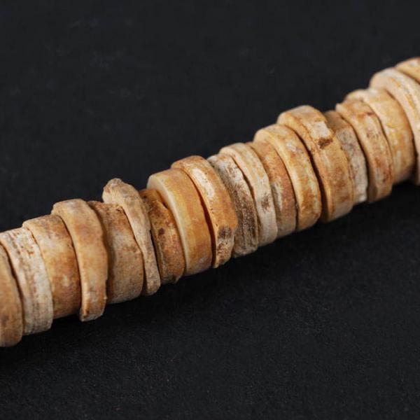 Cuentas de collar en concha