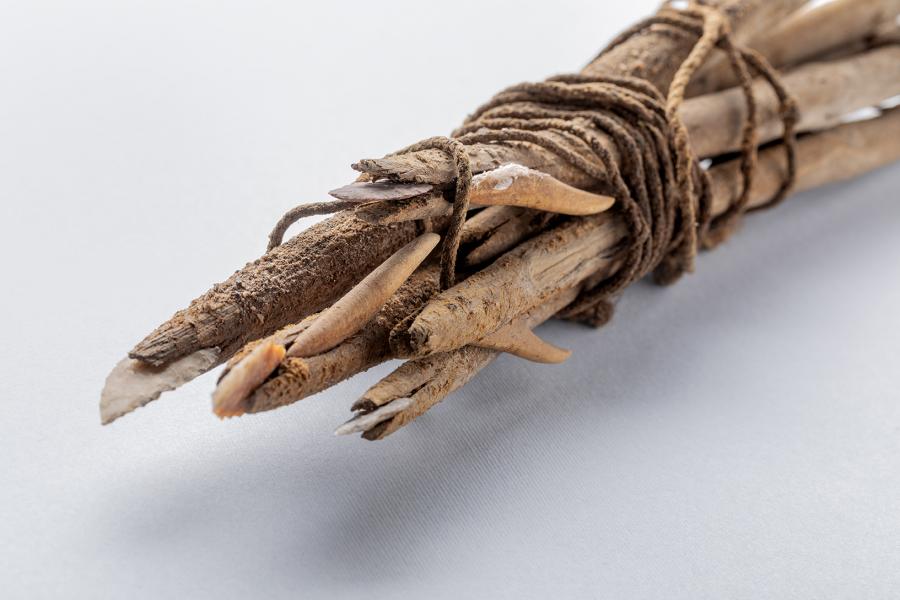 Detalle del extremo penetrante y de las barbas laterales de un atado de cabezales de arpón tipo D Detalle del extremo penetrante y de las barbas laterales de un atado de cabezales de arpón tipo D