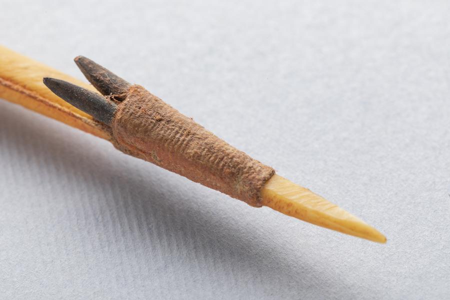 Detalle de la sección penetrante y barbas laterales de un cabezal de arpón tipo A Detalle de la sección penetrante y barbas laterales de un cabezal de arpón tipo A