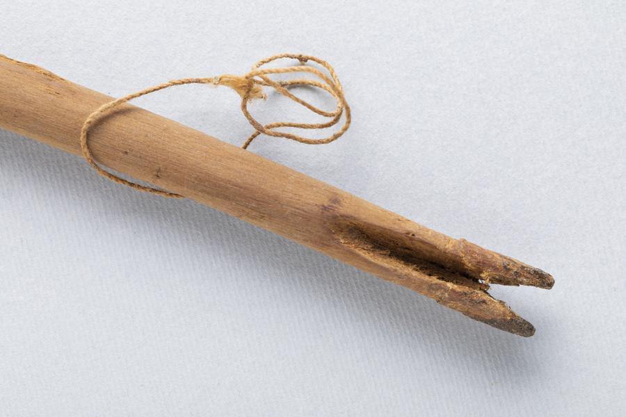 Detalle de la cavidad en V para el acople de la punta lítica y de la cavidad para la barba lateral de hueso de un cabezal de arpón tipo D Detalle de la cavidad en V para el acople de la punta lítica y de la cavidad para la barba lateral de hueso de un cabezal de arpón tipo D