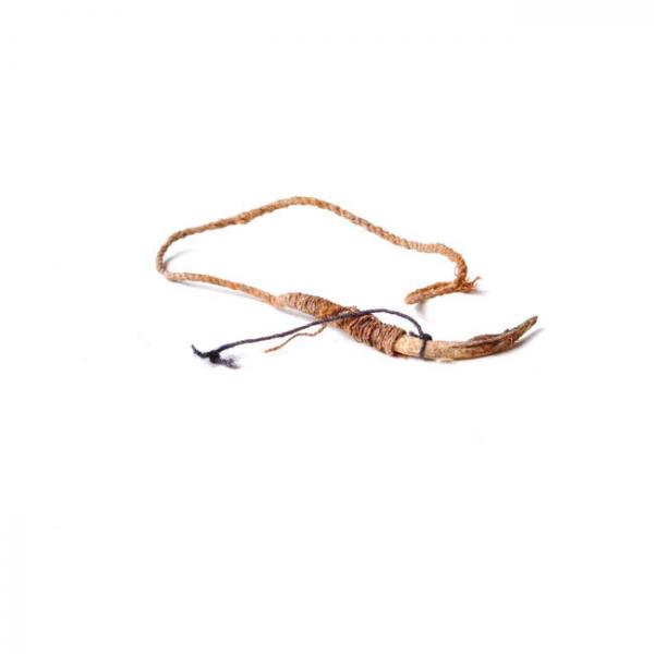 Anzuelo de espina de cactus